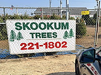 Skookum