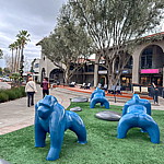 blu zoo